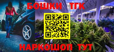 крисы Татарск