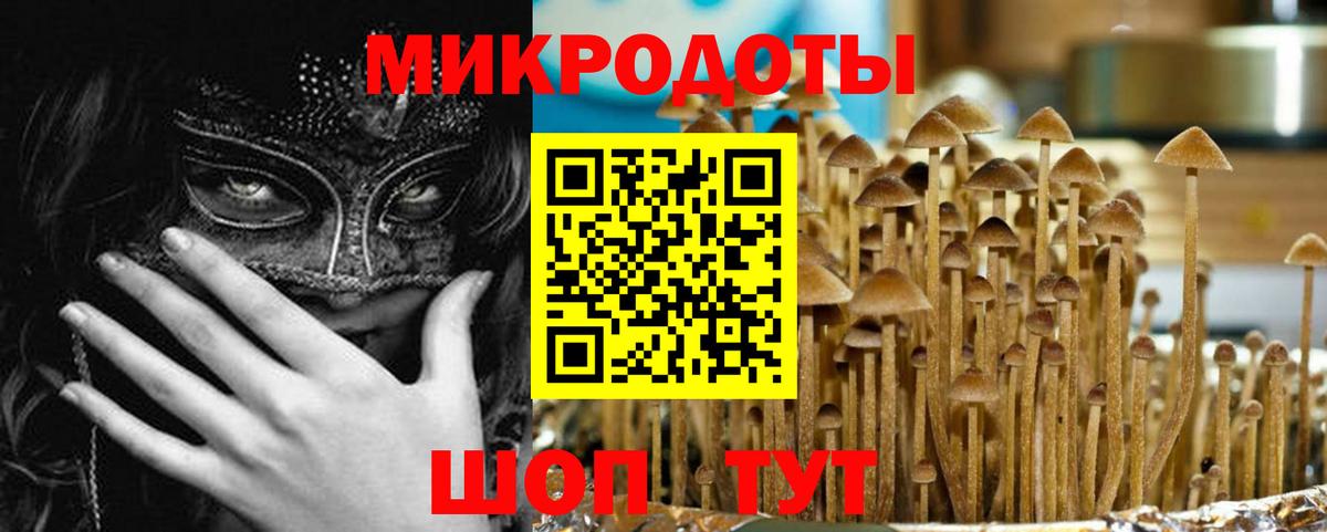 как найти наркотики  Вход с VPN  Новосибирск  Галлюциногенные грибы Psilocybine cubensis  Галлюциногенные грибы прущие грибы 